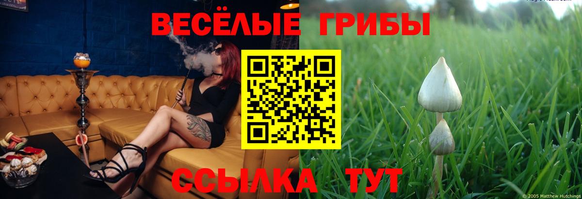 Псилоцибиновые грибы мицелий Дзержинск